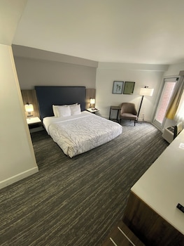 Standard Room, 1 King Bed, Accessible, Patio