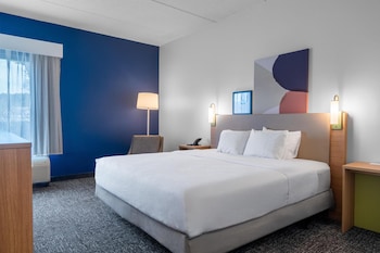 Room, 1 King Bed, Accessible (Mobility & Hearing, Roll-in Shower)