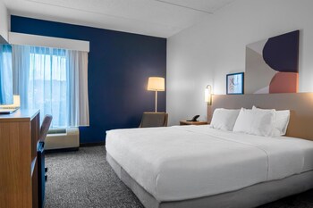 Room, 1 King Bed, Accessible (Mobility & Hearing, Roll-in Shower)