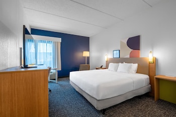Room, 1 King Bed, Accessible (Mobility & Hearing, Roll-in Shower)