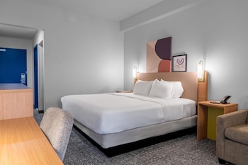 Room, 1 King Bed with Sofa bed