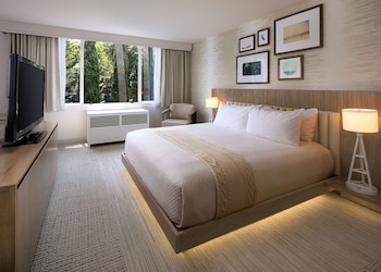 Room, 1 King Bed
