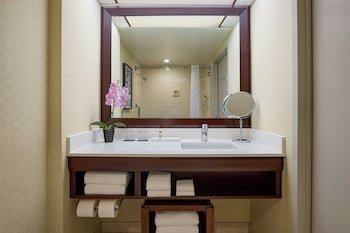Executive Suite, 1 King Bed with Sofa bed