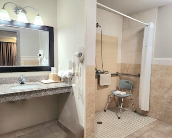Room, 1 Queen Bed, Accessible, Smoking (Mobility/Hearing, Roll-In Shower)