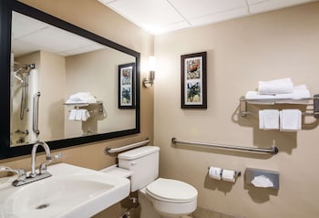 Standard Room, 1 King Bed, Accessible, Non Smoking (Accessible Tub)