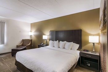 Standard Room, 1 King Bed, Non Smoking (No Pets - 1st Floor)