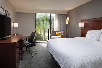 Room, 1 King Bed with Sofa bed, Hearing Accessible (Roll-in Shower)