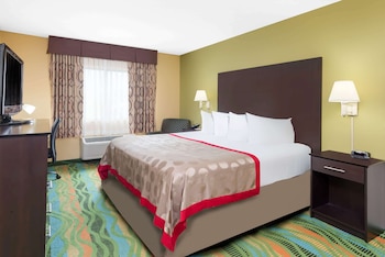 Room, 1 King Bed, Non Smoking