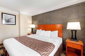 Standard Room, 1 King Bed, Accessible, Refrigerator