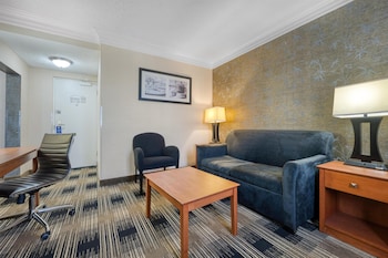 Suite, 1 King Bed, Non Smoking, Refrigerator (with Sofabed)