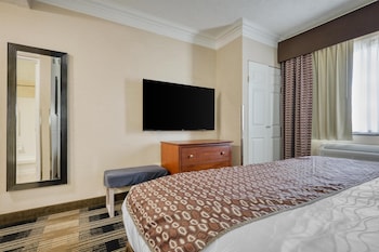 Suite, 1 King Bed, Non Smoking, Refrigerator (with Sofabed)