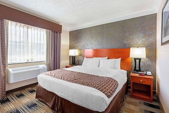 Standard Room, 1 King Bed, Non Smoking, Refrigerator