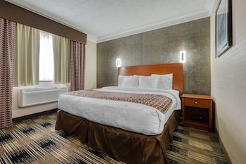 Suite, 1 King Bed, Non Smoking, Refrigerator (with Sofabed)