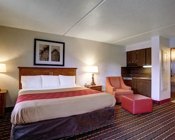 Room, 1 King Bed, Accessible, Non Smoking