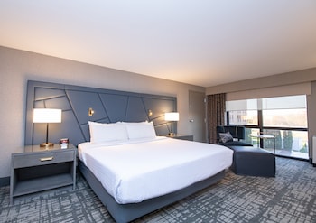 Premium Room, 1 King Bed