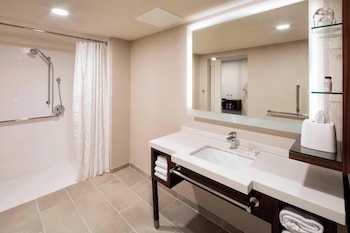 Executive Room, 1 King Bed with Sofa bed (Mobility/Hearing Access, Roll-In Shwr)