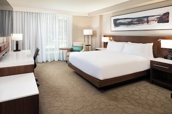 Executive Room, 1 King Bed with Sofa bed (Mobility/Hearing Access, Roll-In Shwr)