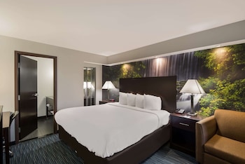 Standard Room, 1 King Bed, Non Smoking