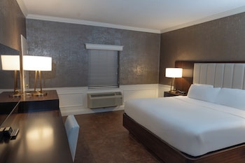 Room, 1 King Bed (Pet)