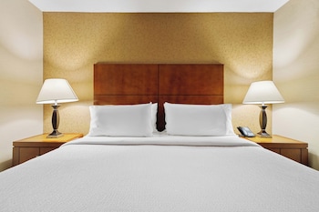 Standard Suite, 1 King Bed with Sofa bed