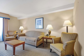 Standard Suite, 1 King Bed with Sofa bed