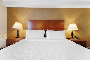 Standard Suite, 1 King Bed with Sofa bed, Kitchenette