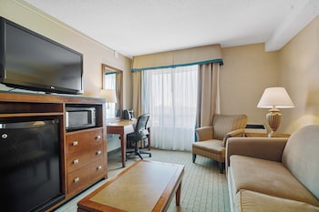 Standard Suite, 1 King Bed with Sofa bed