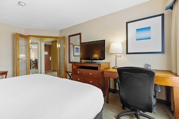 Standard Suite, 1 King Bed with Sofa bed, Kitchenette