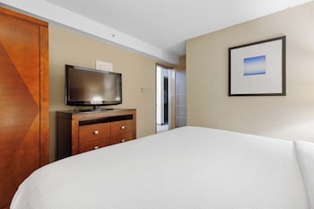 Standard Suite, 1 King Bed with Sofa bed