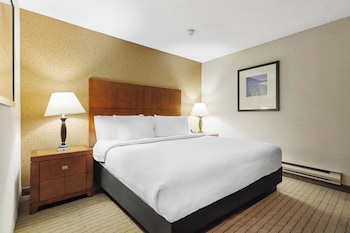 Standard Suite, 1 King Bed with Sofa bed