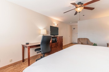 Business Single Room, Microwave