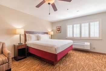 Business Single Room, Microwave