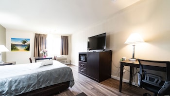 Comfort Single Room