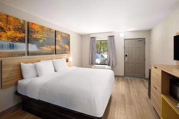 Room, 1 King Bed, Accessible, Non Smoking (Mobility, Tub W/Grab Bars)