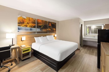 Room, 1 King Bed, Non Smoking