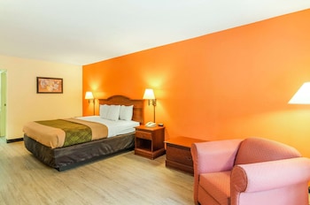 Suite, 1 King Bed, Non Smoking