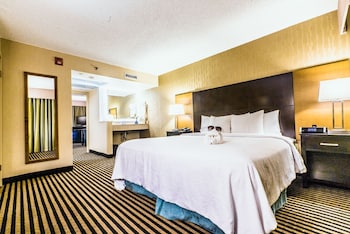 Suite, Accessible, Non Smoking