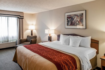 Room, 1 King Bed, Non Smoking