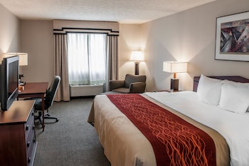 Room, 1 King Bed, Non Smoking