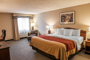 Room, 1 King Bed, Non Smoking