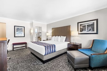 Standard Room, 1 King Bed, Accessible, Bathtub