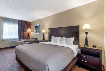 Standard Room, 1 King Bed, Non Smoking