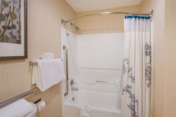 Suite, 1 King Bed, Accessible, Non Smoking (with Sofabed, Full Kitchen)