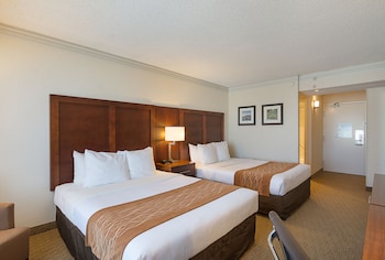 Traditional Room, 2 Queen Beds, Lower Partial View