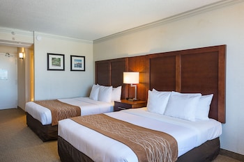 Room, 2 Twin Beds, Accessible, Non Smoking