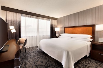 Studio, 1 King Bed, Accessible, Bathtub