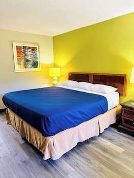 Room, 1 King Bed, Non Smoking