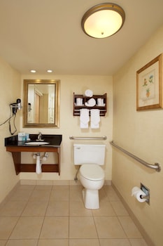 Room, 1 King Bed, Accessible, Non Smoking