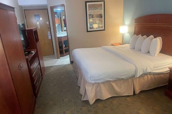 Room, 1 King Bed, Non Smoking