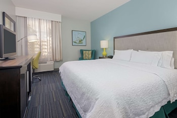 1 King 1Bdrm Suite w/ Sofabed, Non Smoking